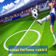 sinal fortune rabbit